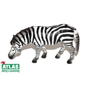 D - Figurka Zebra