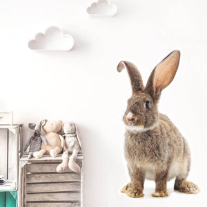 Pastelowe Love® samolepka na zeď králík Velikost: S Samolepka