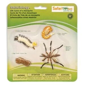 SafariLtd. Životní cyklus - Komár
