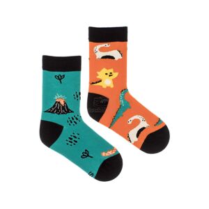 Ponožky Feetee Dinosaurus Velikost: 23-26