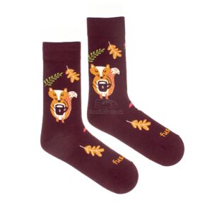Ponožky Fusakle Liškopauza Velikost: 39-42