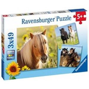 Puzzle Ravensburger Koně 3x49 dílků
