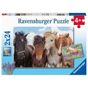 Ravensburger 051489 Fotky koní 2x24 dílků