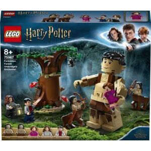 LEGO 75967 Harry Potter™ Zapovězený les: Setkání Drápa a profesorky Umbridgeové